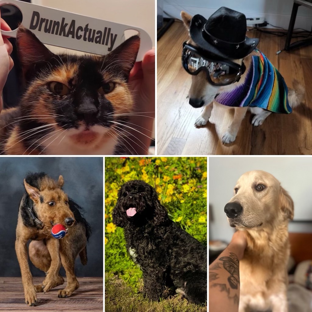 Our pets say…